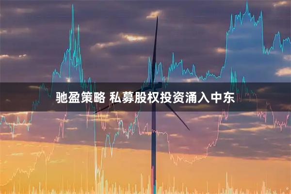 驰盈策略 私募股权投资涌入中东