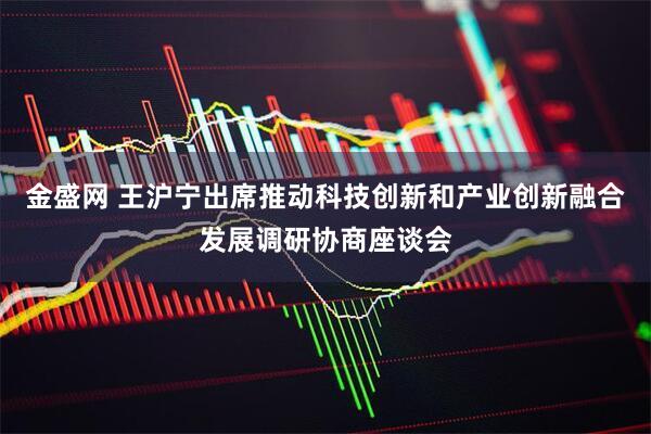 金盛网 王沪宁出席推动科技创新和产业创新融合发展调研协商座谈会