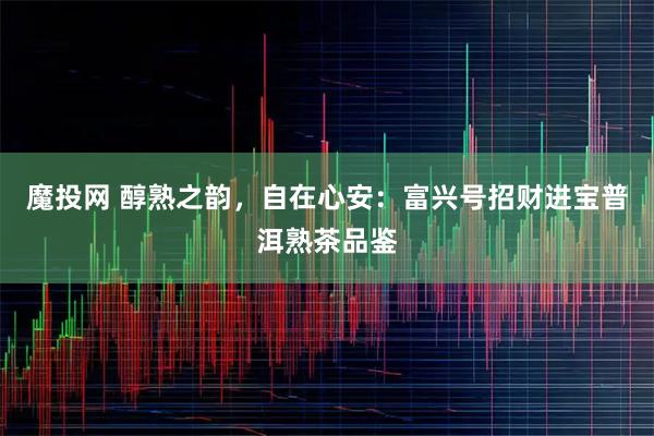 魔投网 醇熟之韵，自在心安：富兴号招财进宝普洱熟茶品鉴