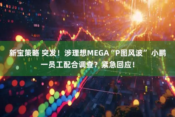 新宝策略 突发！涉理想MEGA“P图风波” 小鹏一员工配合调查？紧急回应！
